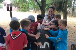 Beavers working together to move tyres in a puzzle