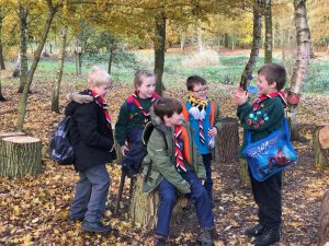 Cubs and Beavers talking to each other