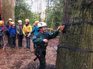 Billesley Cub preparing to climb a tree