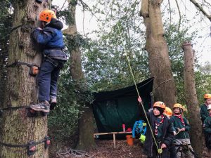 Billesley Cub climbing a tree, supported by another Cub