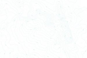 Lickey Hills Topographical Relief Contour Map