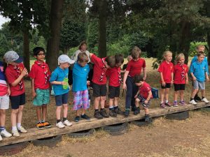 Beavers sorting themselves into age order