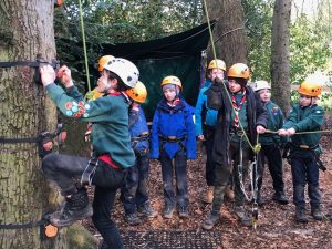 Billesley Cubs about to climb a tree