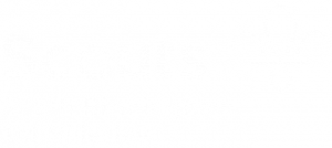 325th Birmingham, 1st Billesley Scouts Logo - Hollow